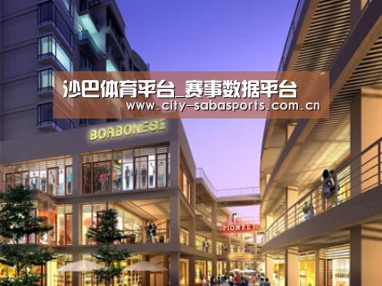 案例展示一(图1)