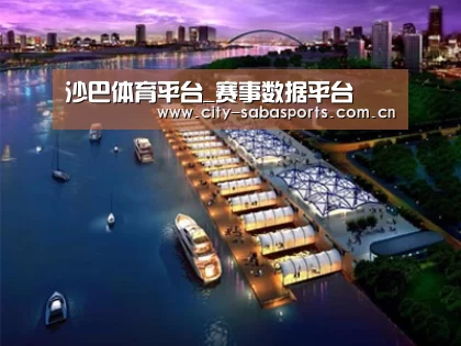 案例展示八