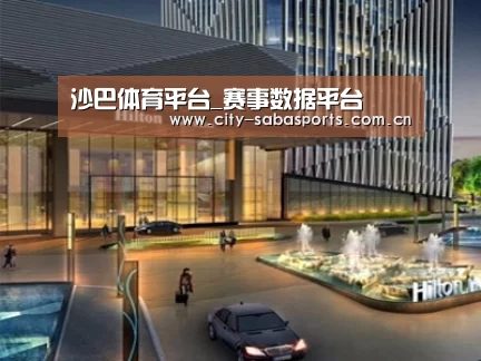 案例展示二