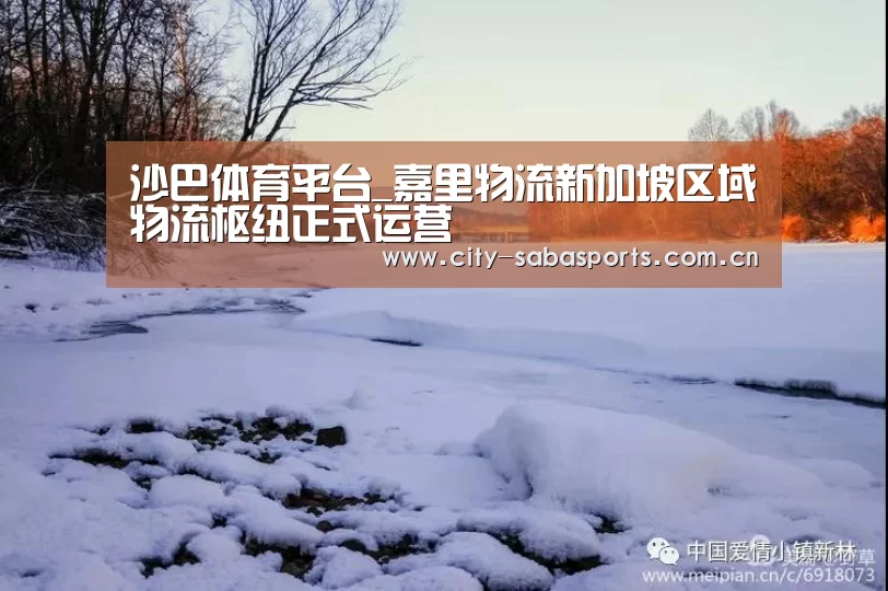 沙巴体育平台