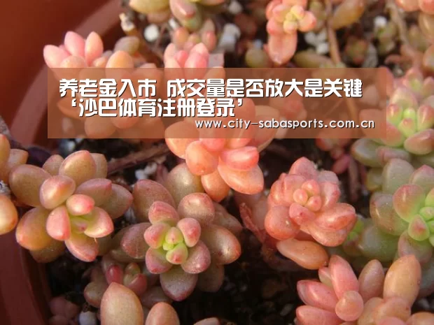 沙巴体育app