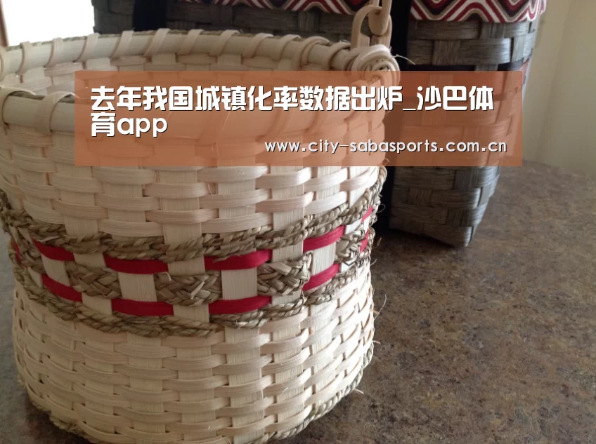 沙巴体育平台